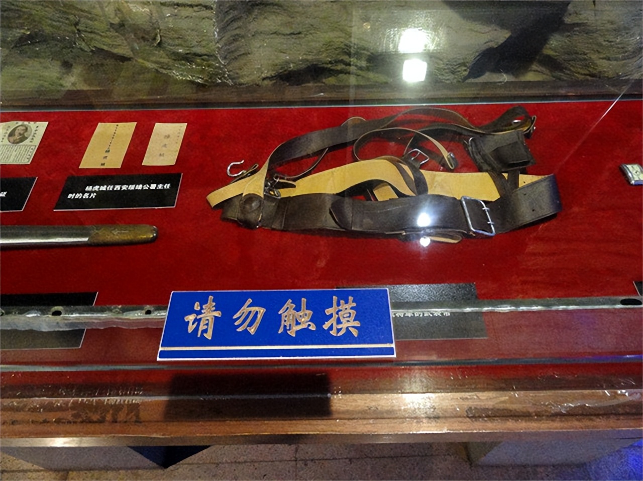 张露萍潜伏戴笠身边,档案潜伏在戴笠身边的张露萍