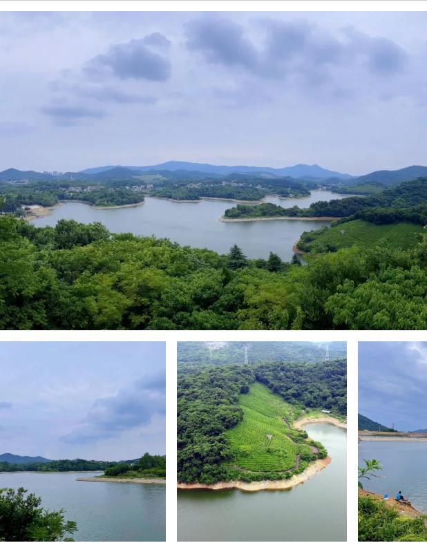 十一长假南京旅游景点攻略,南京适合搭帐篷野餐的地方