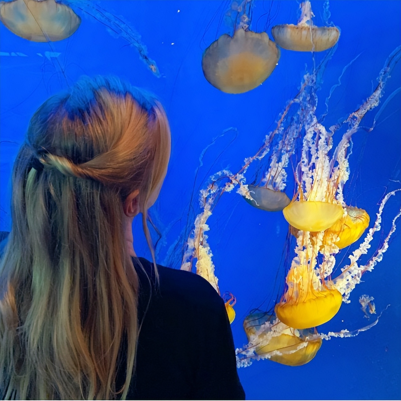 暑假哪里适合旅游买纪念品,去武汉回来带什么纪念品