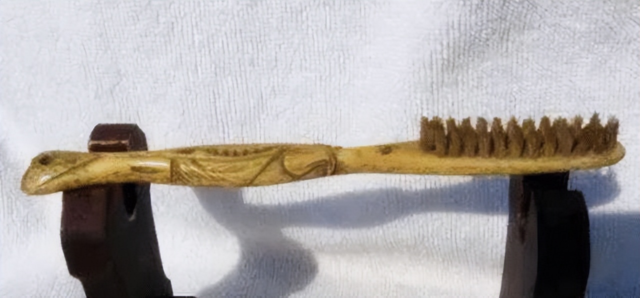 科普冷知识，知道多了，嘿！腰也不疼了，腿也不抽了整个人都爽了