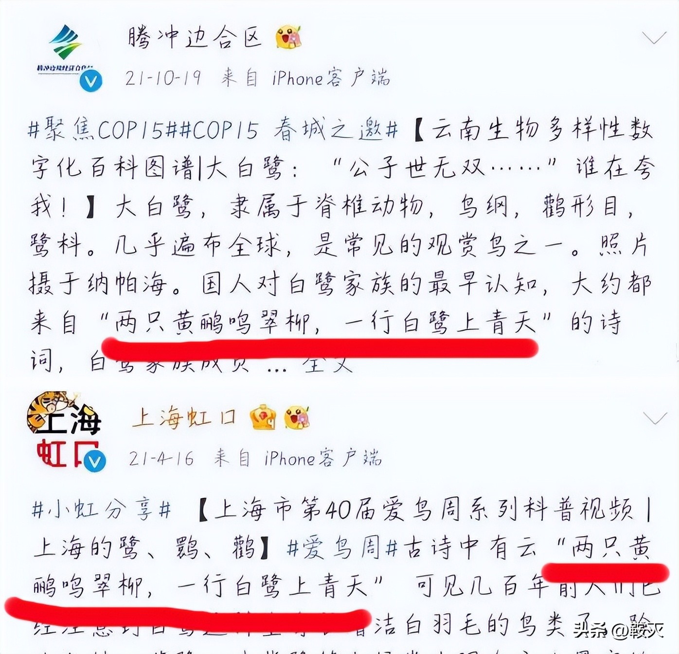 全国网友都统一记错？未免也太可笑