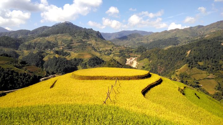 中长线期货高手的交易策略,期货交易高手真实经历
