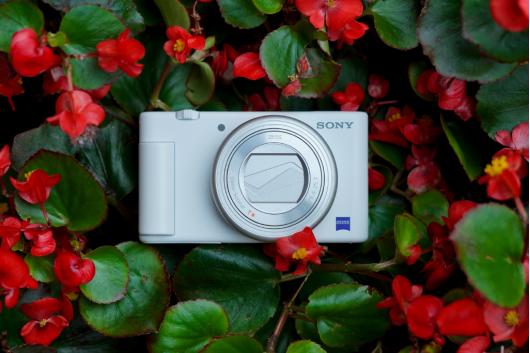 实用索尼数码相机推荐哪款比较好,索尼最强风景相机