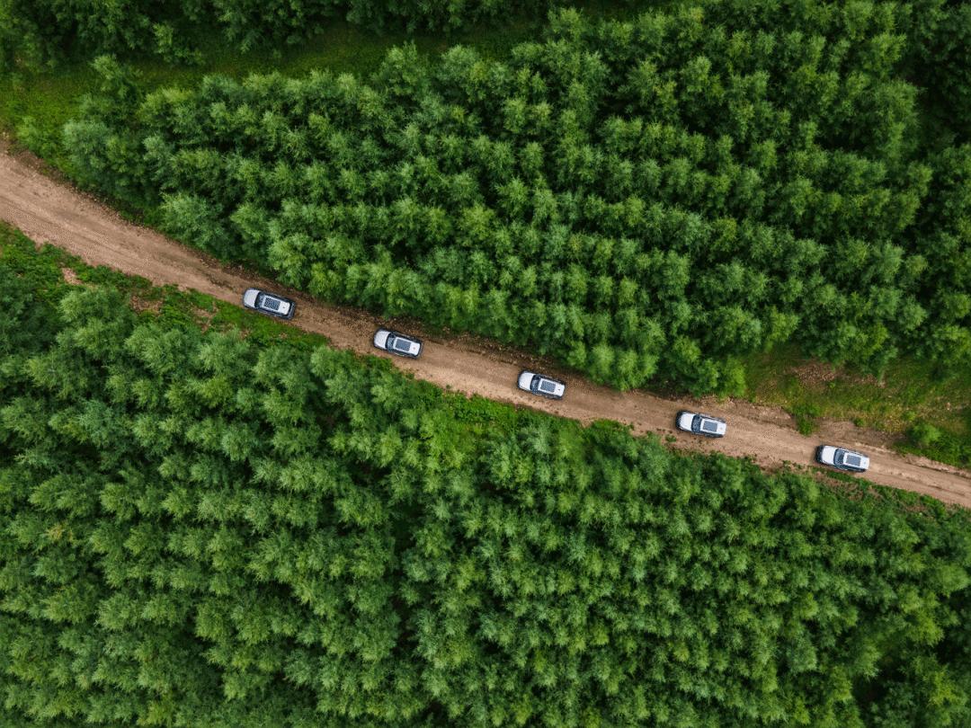 哈弗大狗追猎版测试,哈弗大狗追猎版M档位