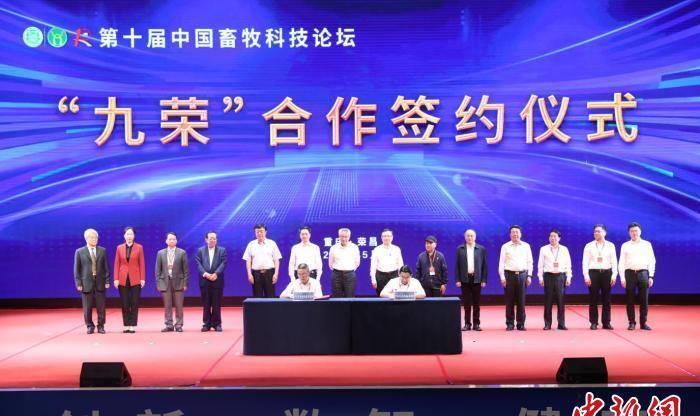 “九荣合作”十五周年:重庆荣昌的惊人“成绩单”