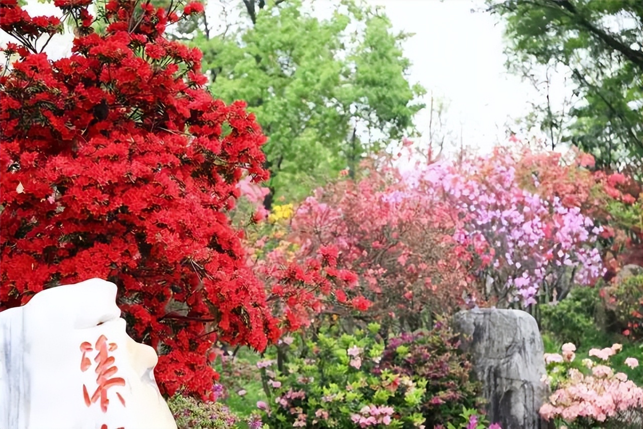 园林景观包括的项目,园林景观主题有哪些