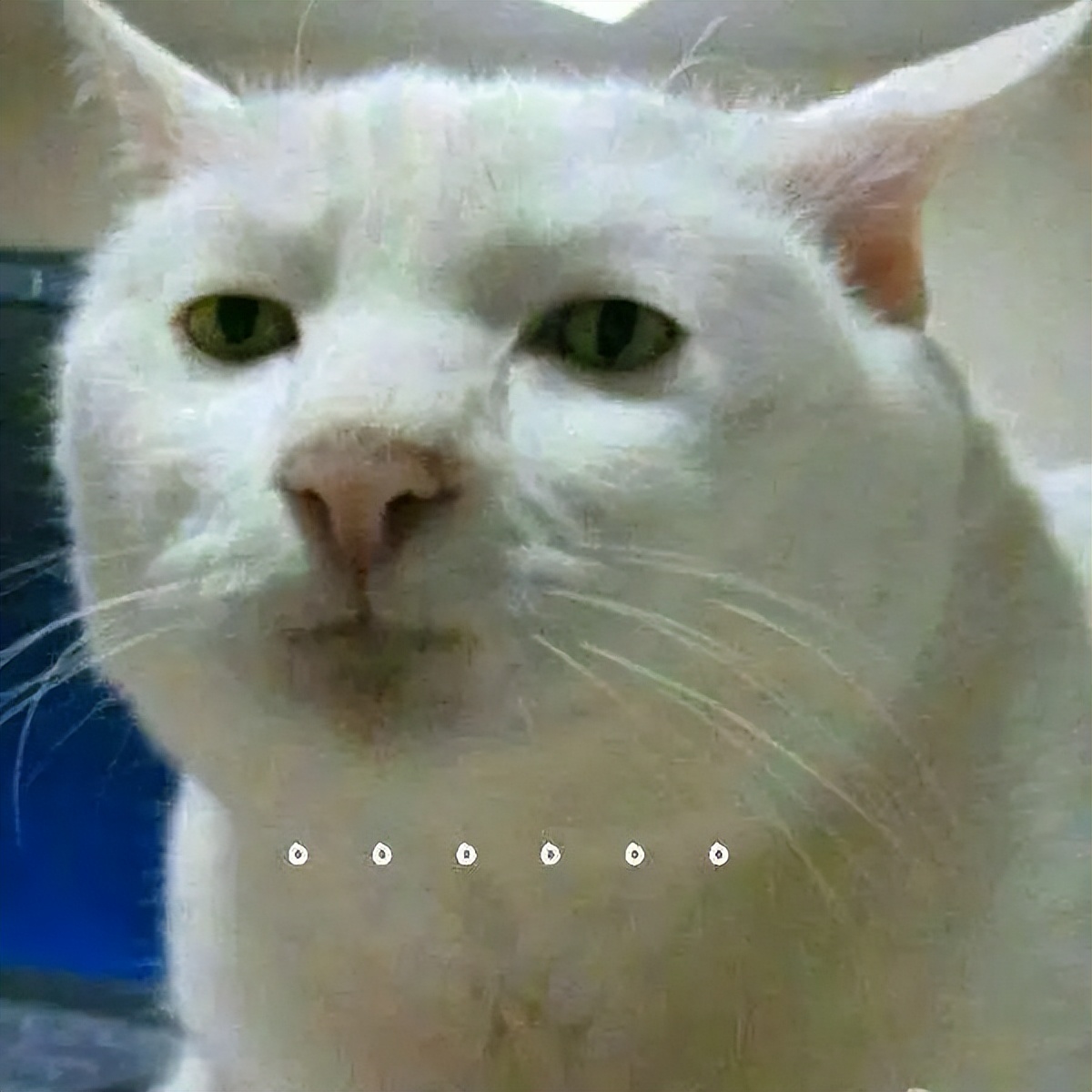 爷爷奶奶留下的老冰箱,三十年前的老冰箱