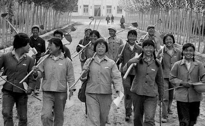 知青刘艳杰,下乡知青刘艳杰