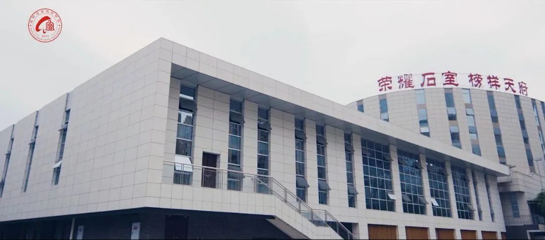 石室天府游泳馆,成都市高新区石室天府中学游泳馆