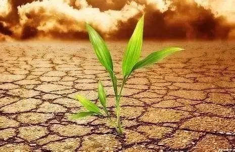 中医五脏五行相生相克图,中医里面说的五行相生相克