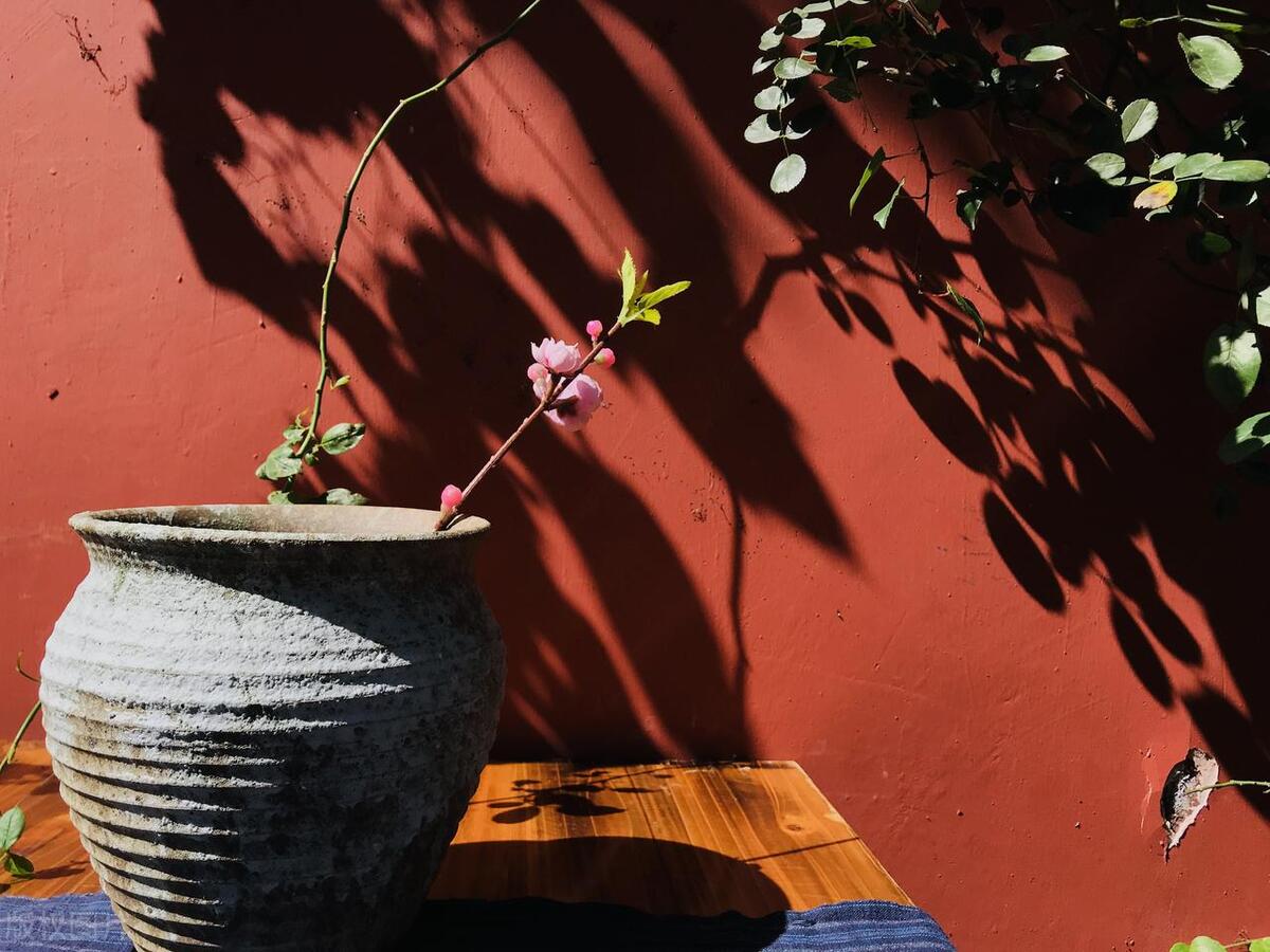 爱人红颜知己的区别,知己爱人有什么区别