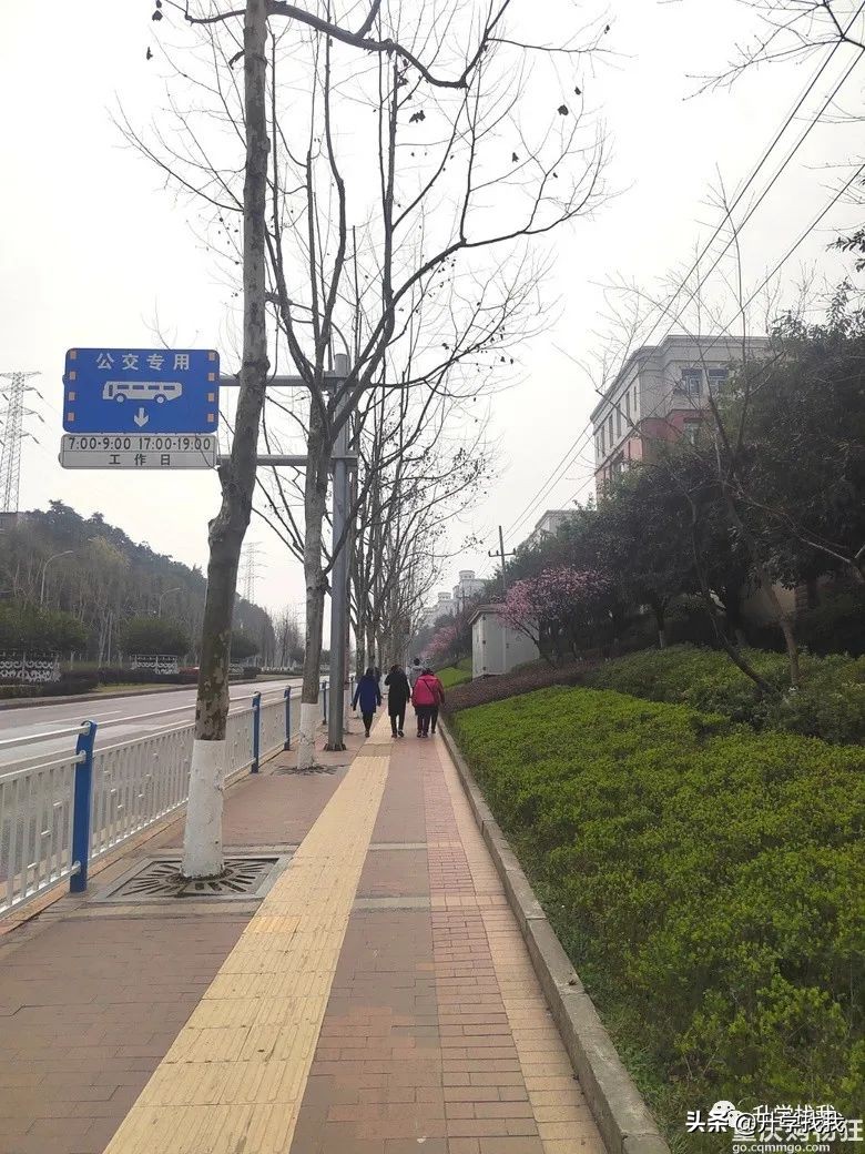 重庆一外陪读妈妈分享经验，陪读半年，孩子从英语小白到考140分