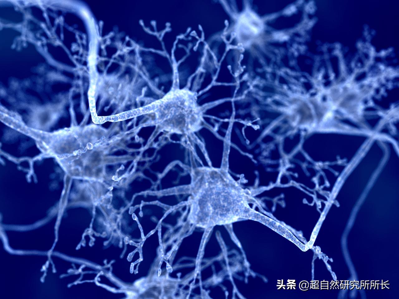 人类真的可能会变丧尸吗,人类有可能变成僵尸吗