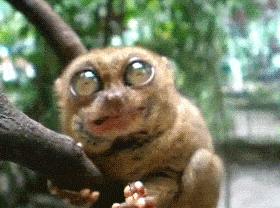 昨晚上喝多了把这个扛回了家，现在酒醒了，我该怎么办？