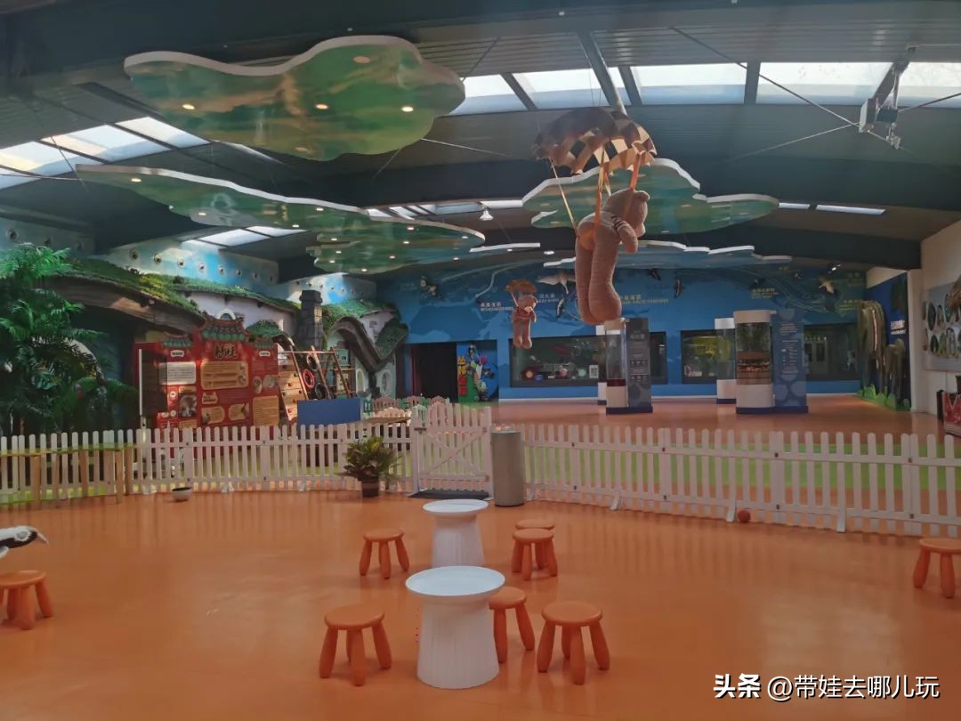 一天玩遍北京野生动物园,包场去鸟巢