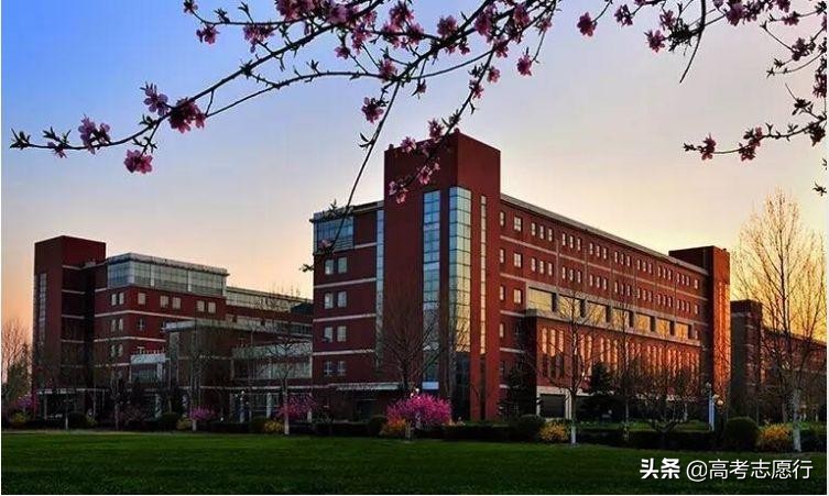 今年华电就业情况,华电能源动力就业前景