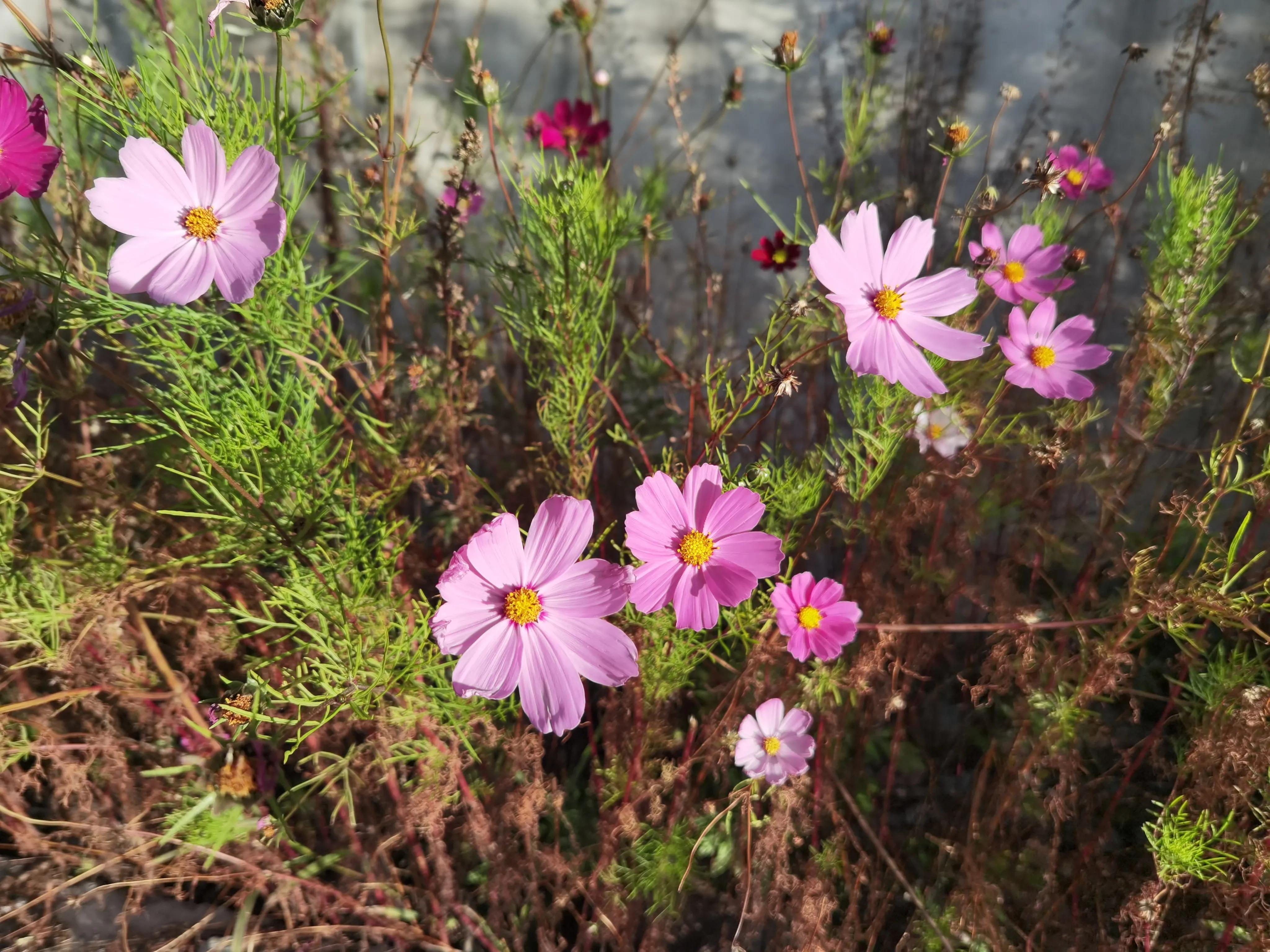冬季五台山徒步大朝台完整攻略,五台山大朝台徒步一天可以走完吗