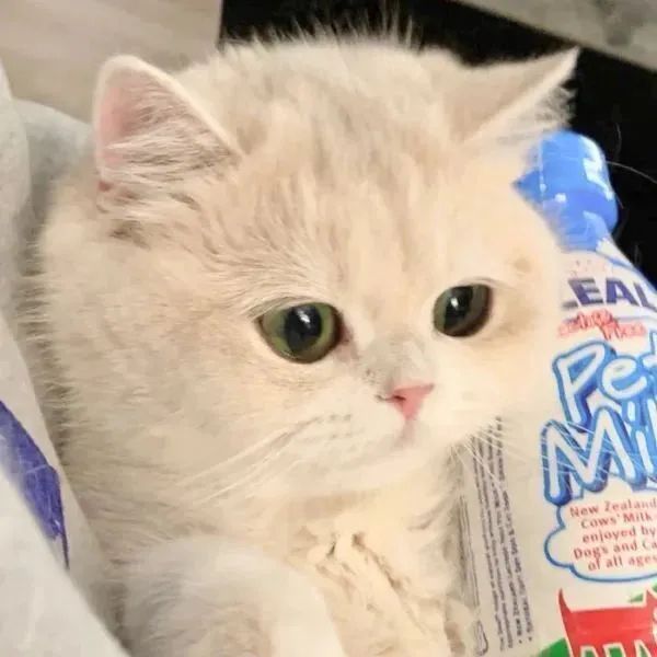 抖音男生动漫头像,抖音超仙头像动漫