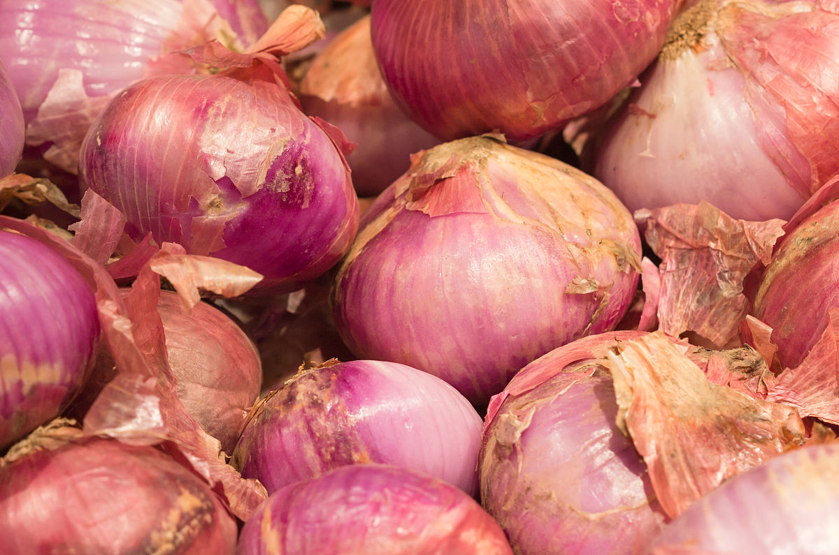 买洋葱怎么买嫩的,洋葱红皮和黄皮哪个好