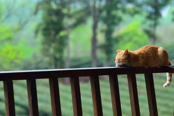 能闲之人非等闲上一句话,能闲之人非等闲啥意思