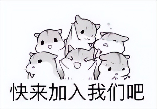 六月最后一周计划：填写“青春山东”实习招募报名表