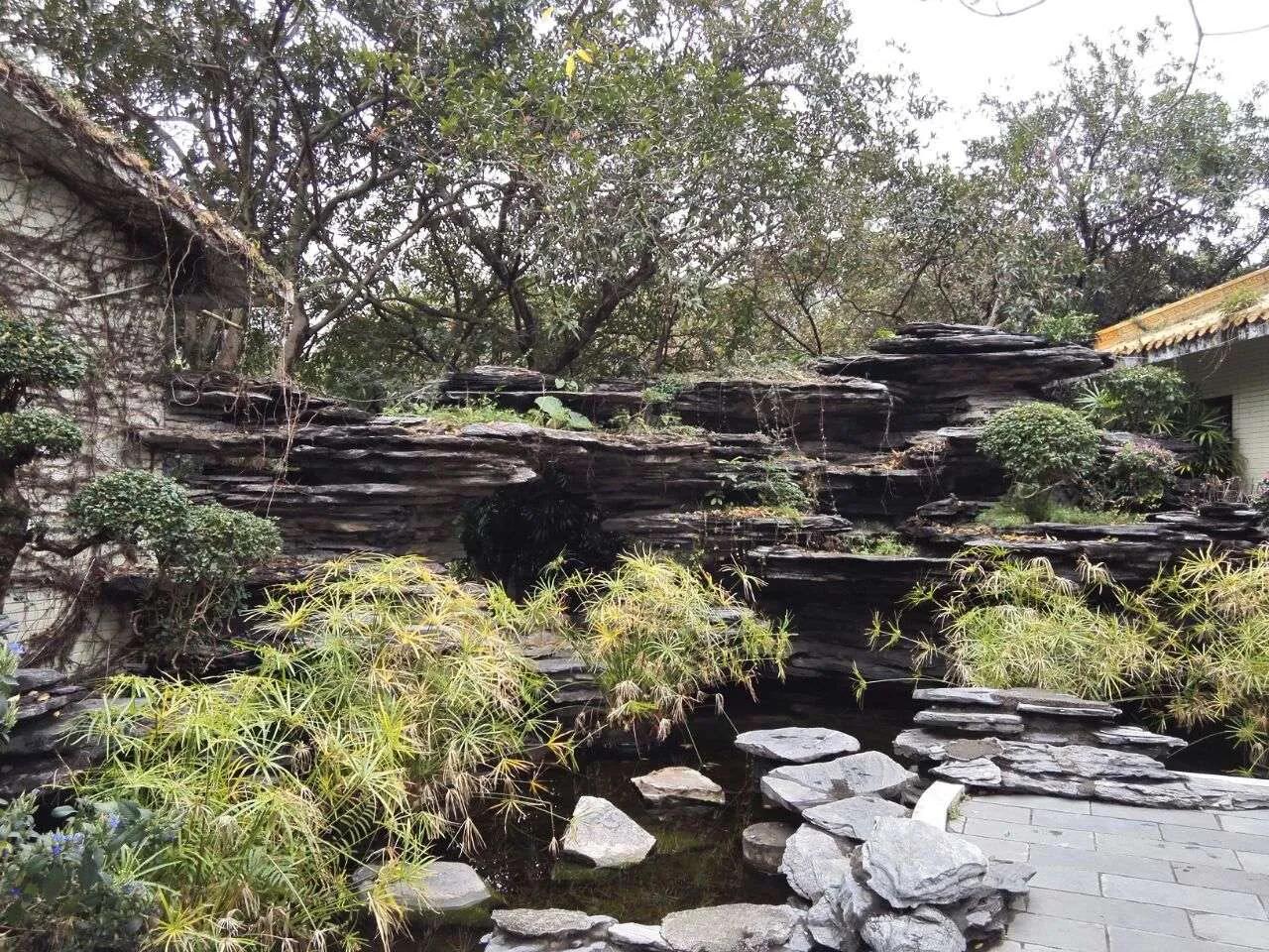 深圳美景荔枝公园,荔枝公园位于福田和罗湖交汇处