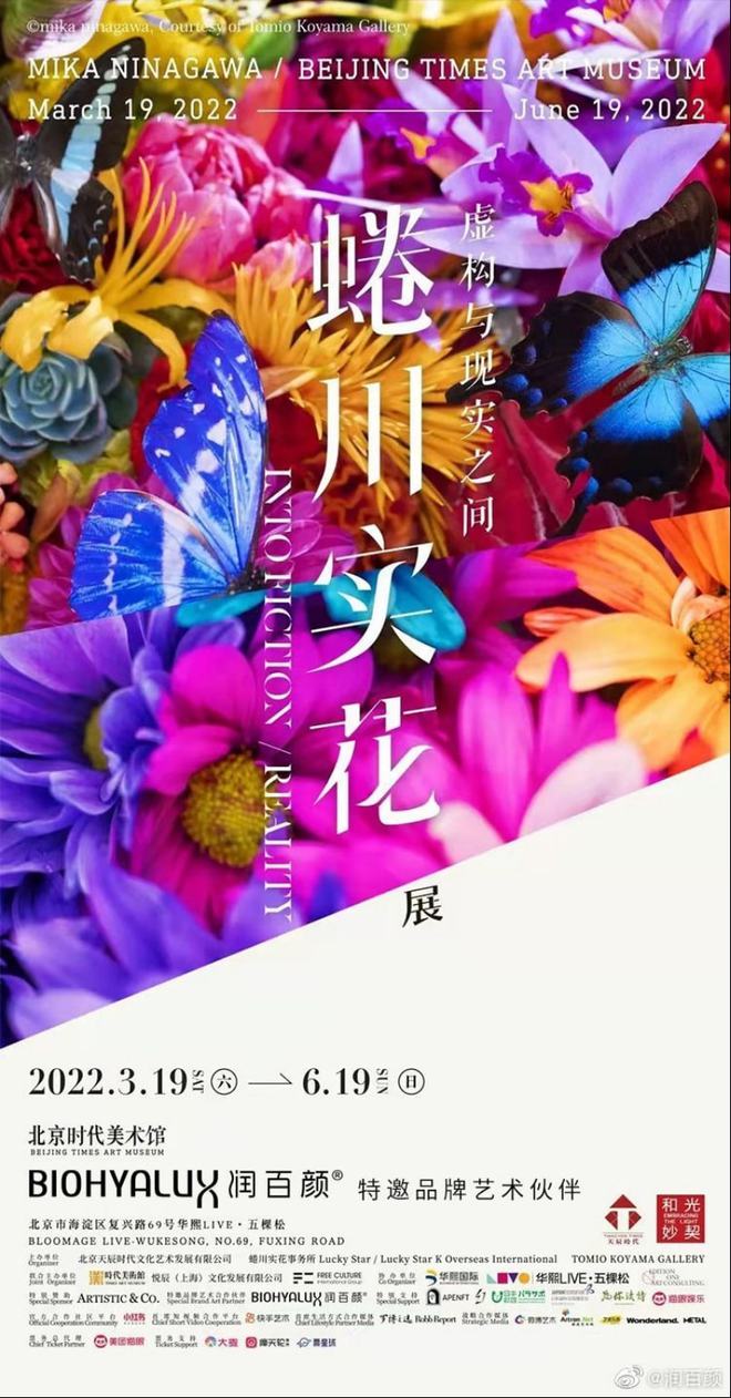 春日品牌营销,春日营销方案