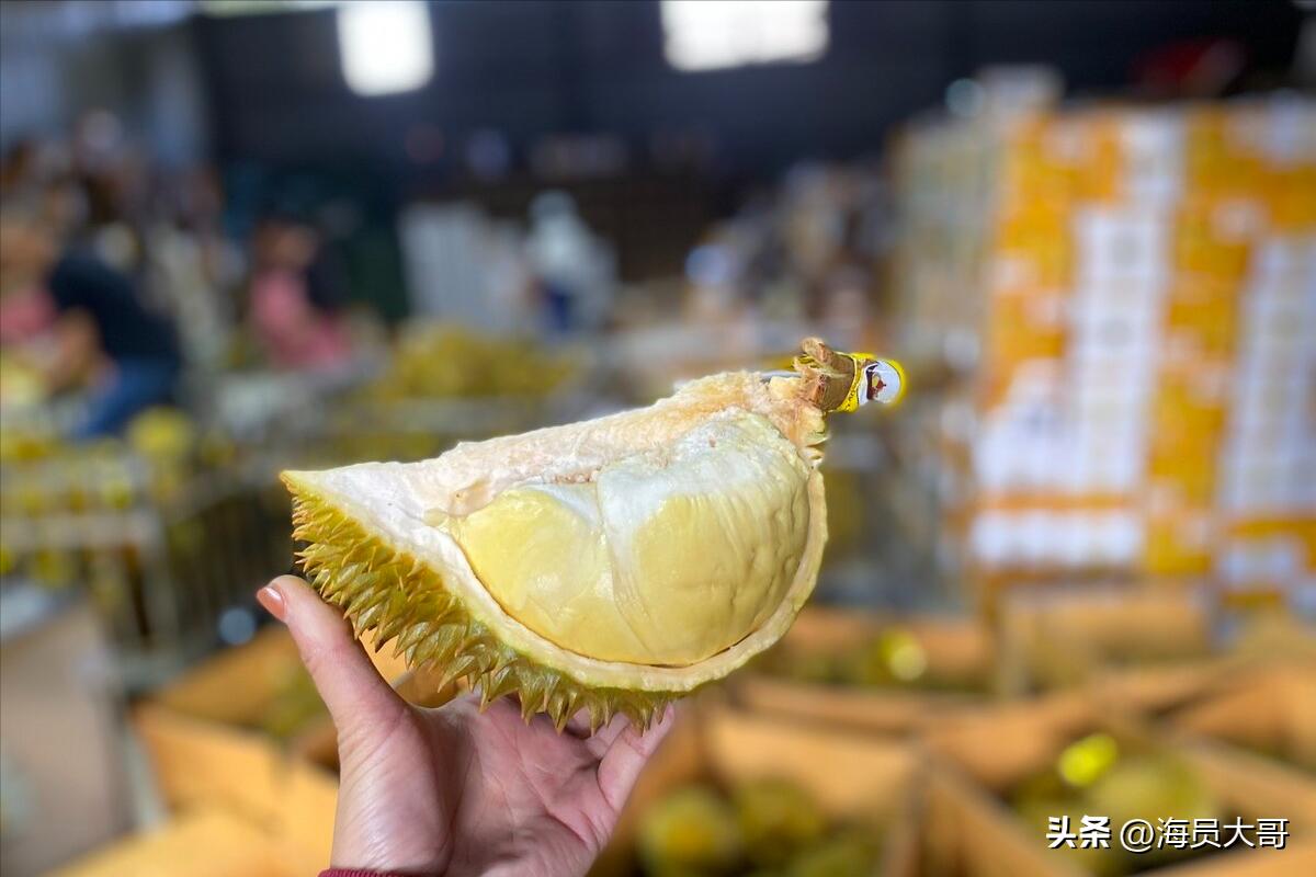 第17章：船到了泰国船员精神十足，分钱，购物，看女郎，意图明确