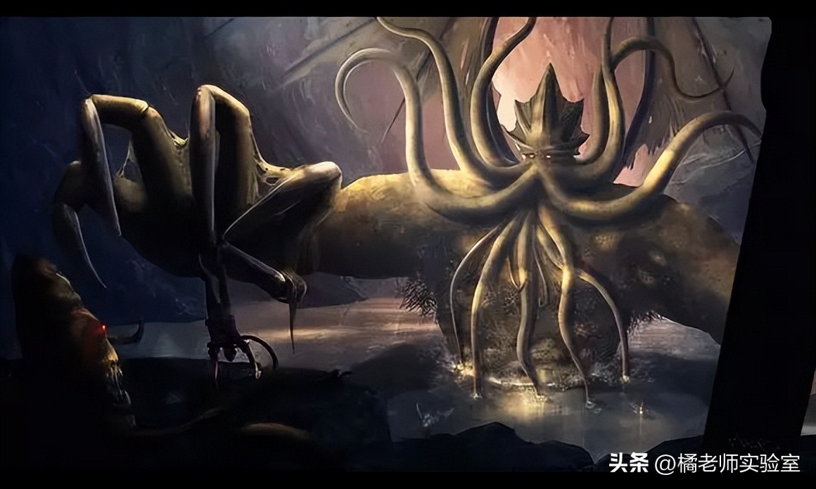 逆天的章鱼究竟有多聪明,章鱼是不是世界上最聪明的章鱼