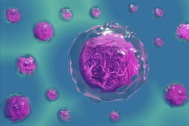 弯曲杆菌在什么地方有,弯曲杆菌有什么用