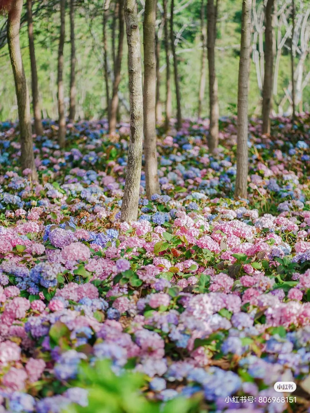 青岛最值得去的拍照打卡地,青岛最适合拍照的十个地方