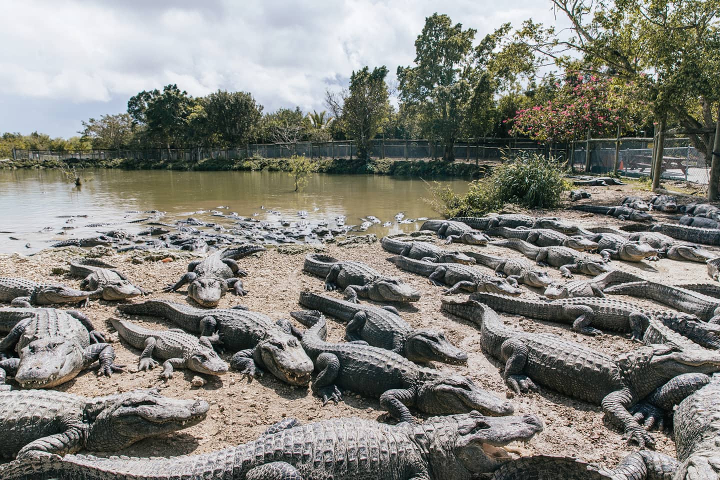 儿童节特辑盘点,六一儿童节遛娃篇
