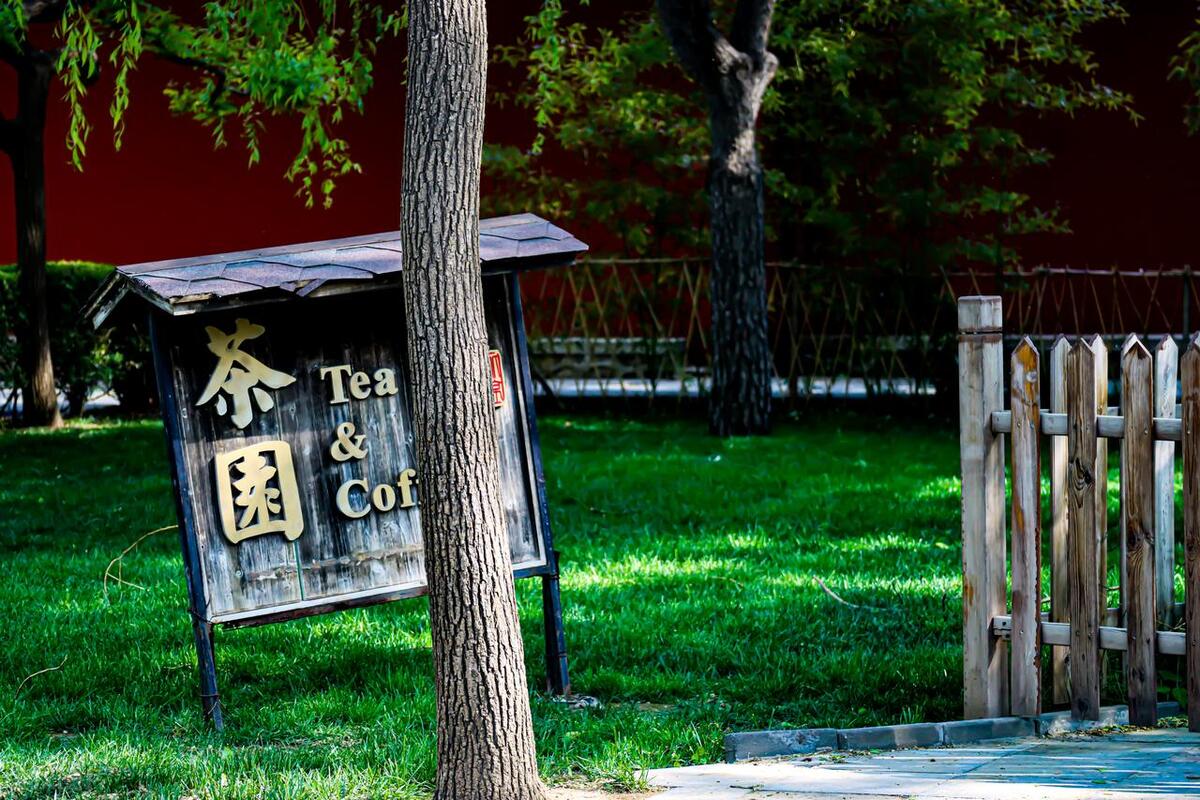 朝阳区文旅局,北京朝阳区文旅局电话