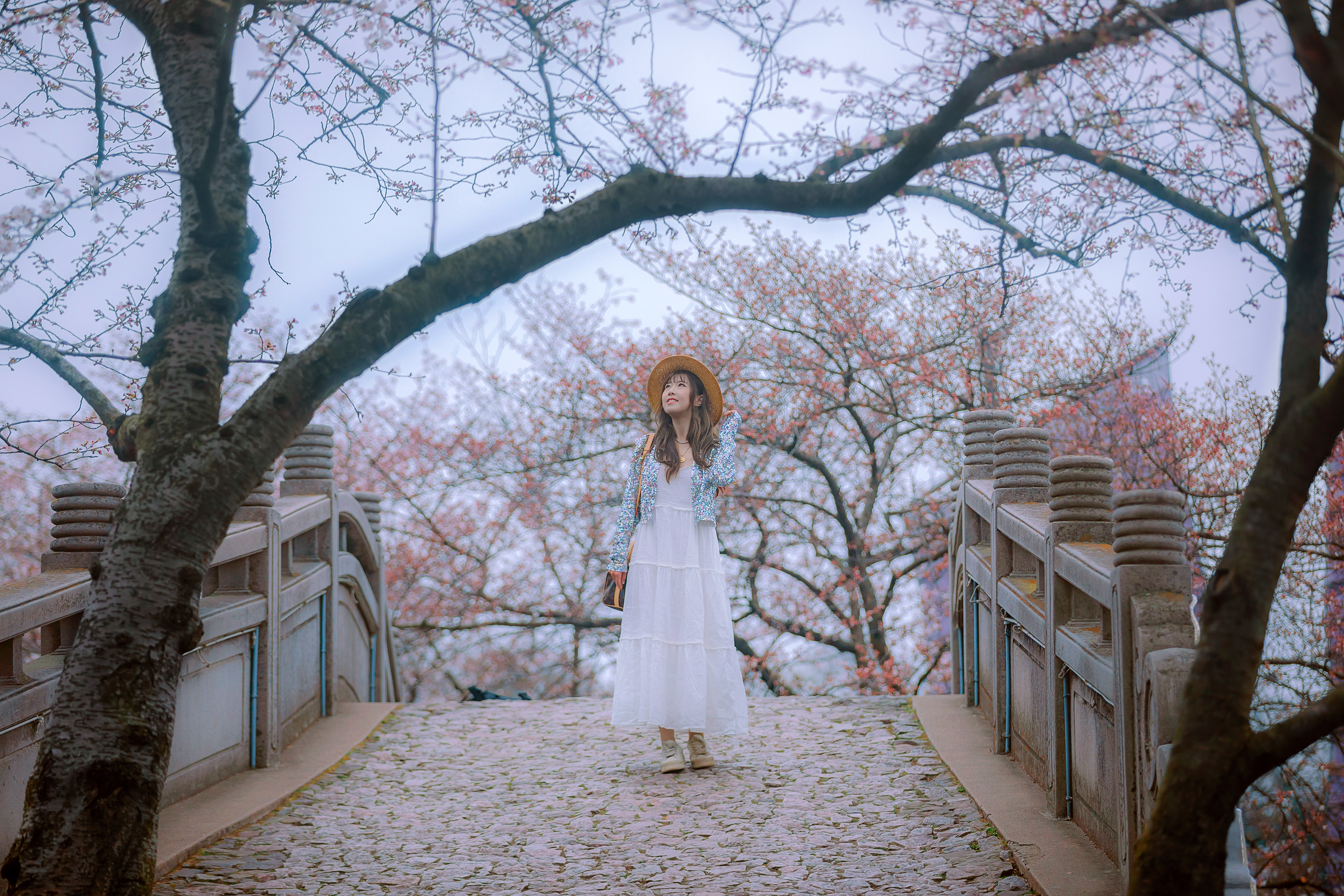 鼋头渚樱花盛宴比日本更令人沉醉,太湖鼋头渚樱花美如画