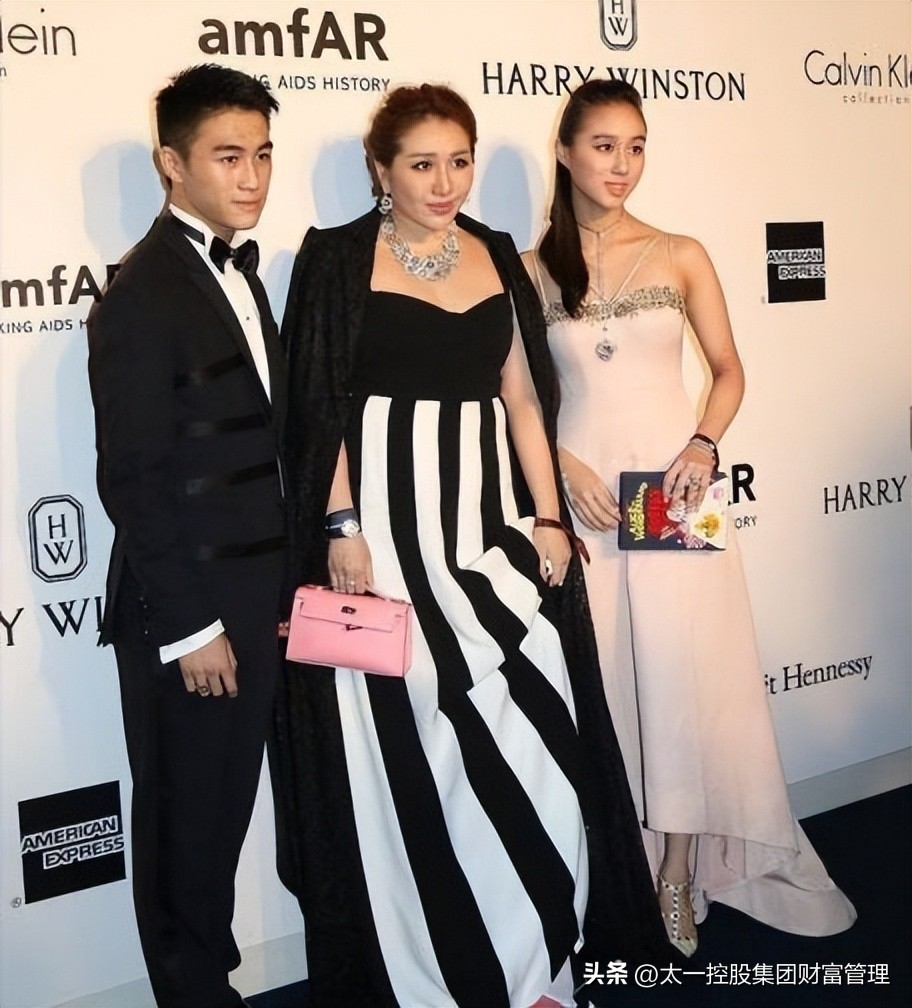 太一控股集团的特点,太一控股集团