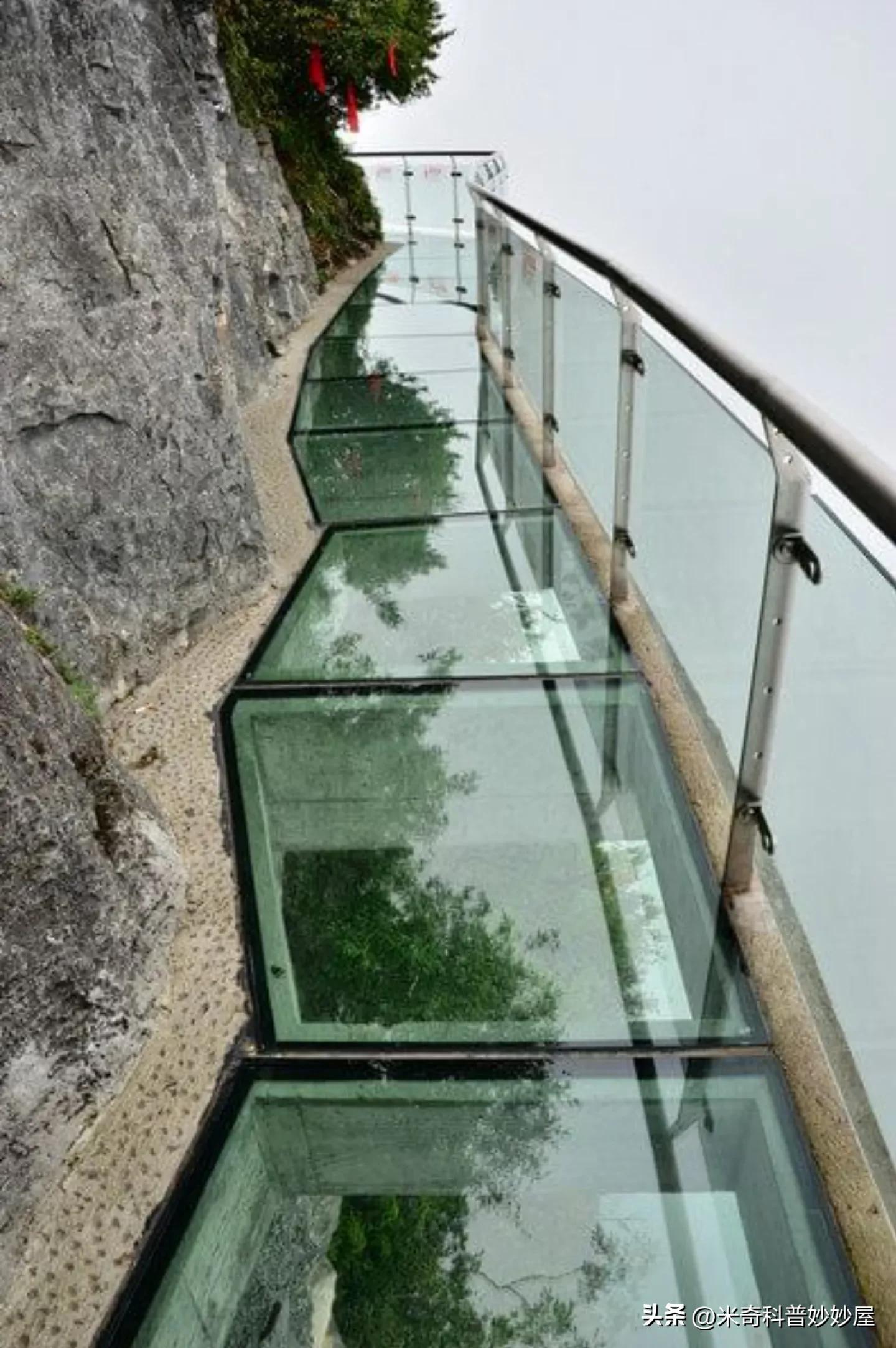 是大脑控制你，还是你控制大脑呢？