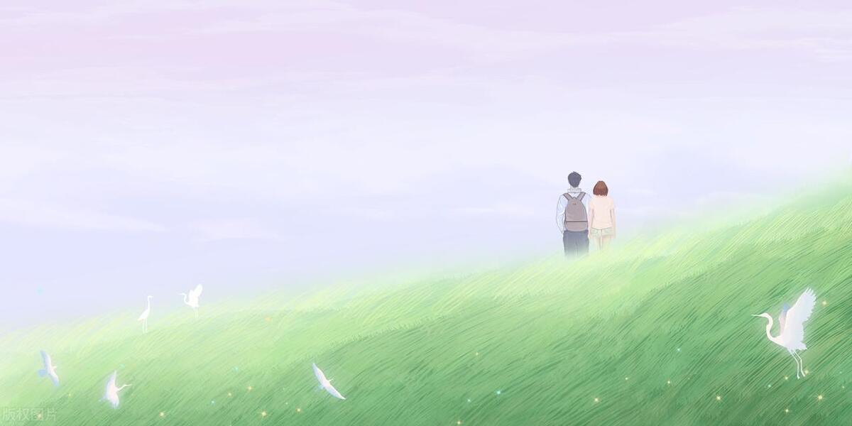 苏小白小说主角,苏小白的小说完整版