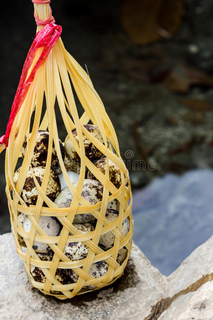 大学停用微信,因微信雁过拔毛毛太粗,疼