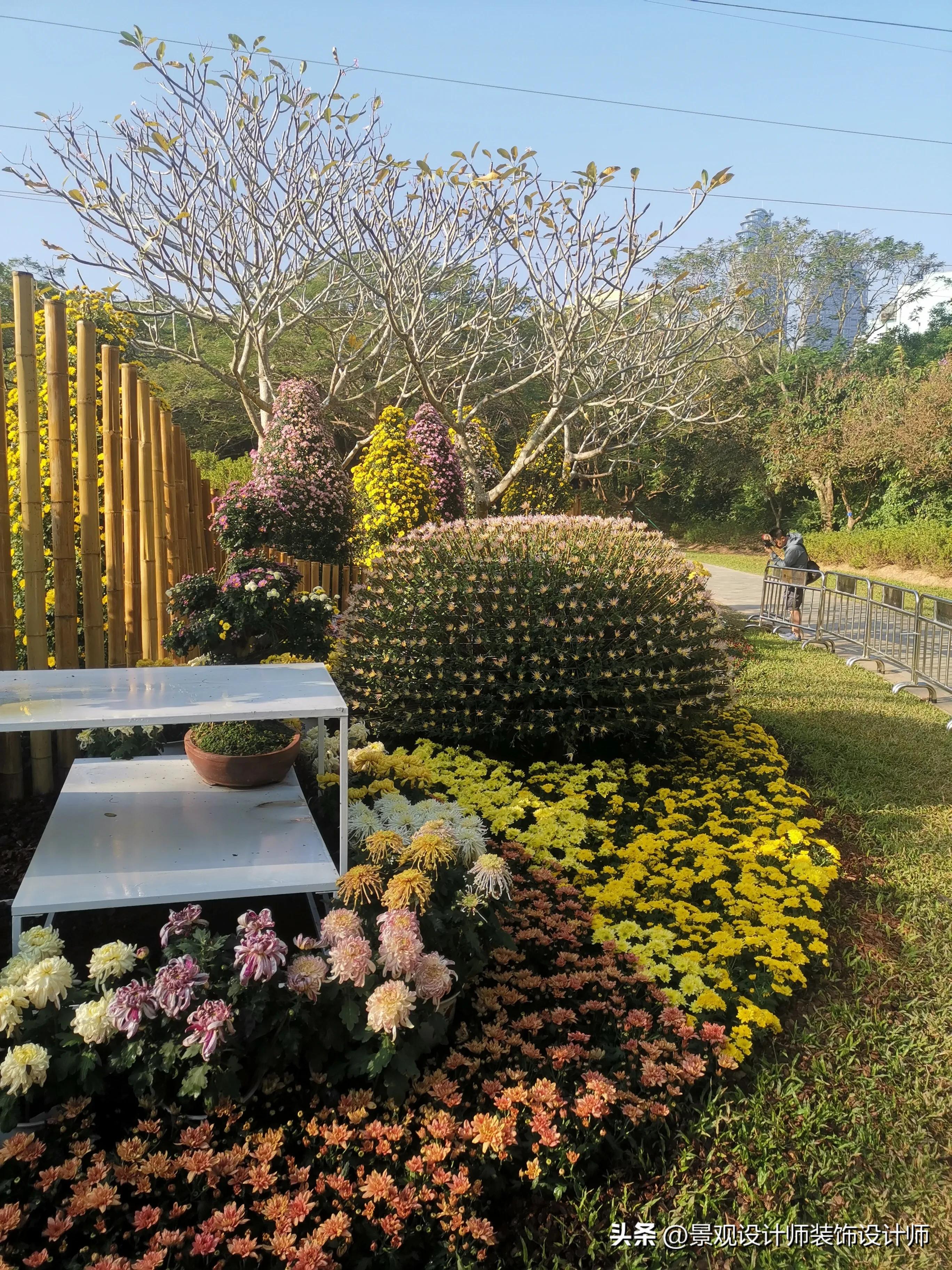 深圳市东湖公园收费标准,深圳市东湖公园宾馆