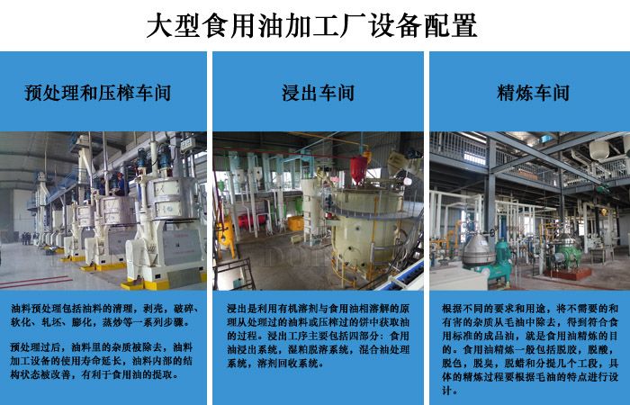 开办小型榨油坊需要多少钱,开办榨食用油厂办哪些手续