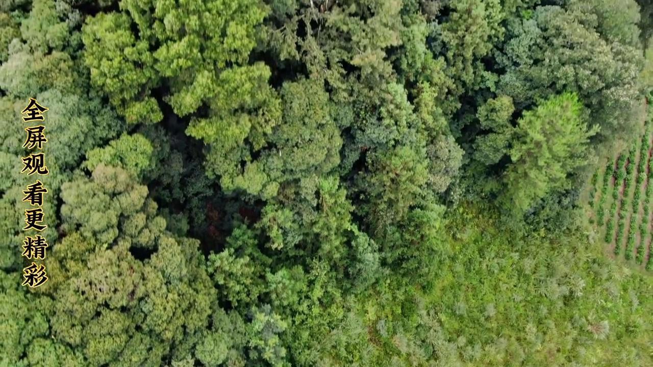 无人机不会操作会不会飞丢,无人机起飞后会偏移怎么办