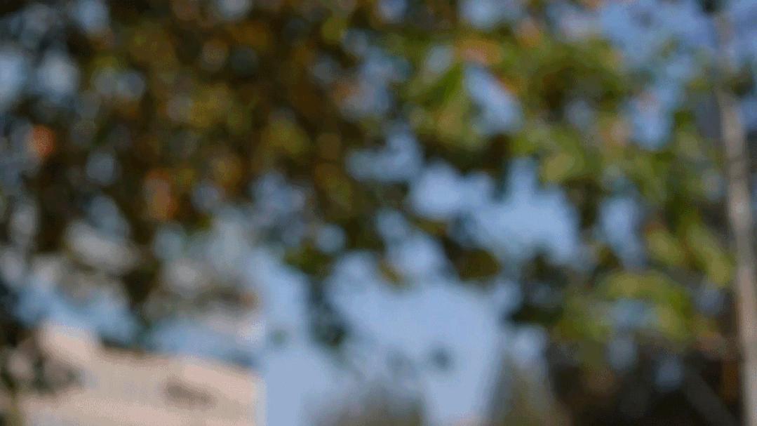 一元特价美食外卖,9.9团购美食外卖