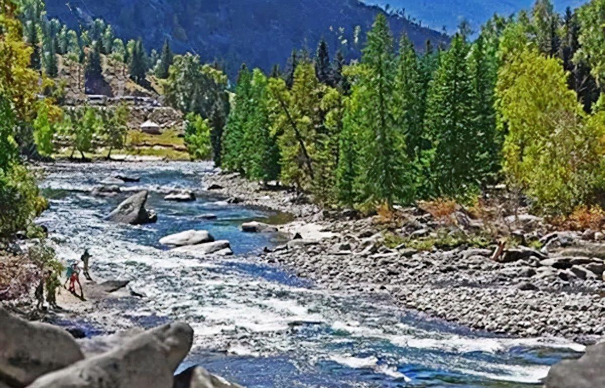 10年*疆新**惊现一种灰石头，毒性十分强烈，专家：这是一种稀有金属