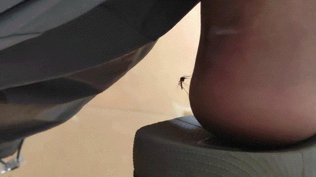 脚上有一股很浓的味道,脚上有味道的原因