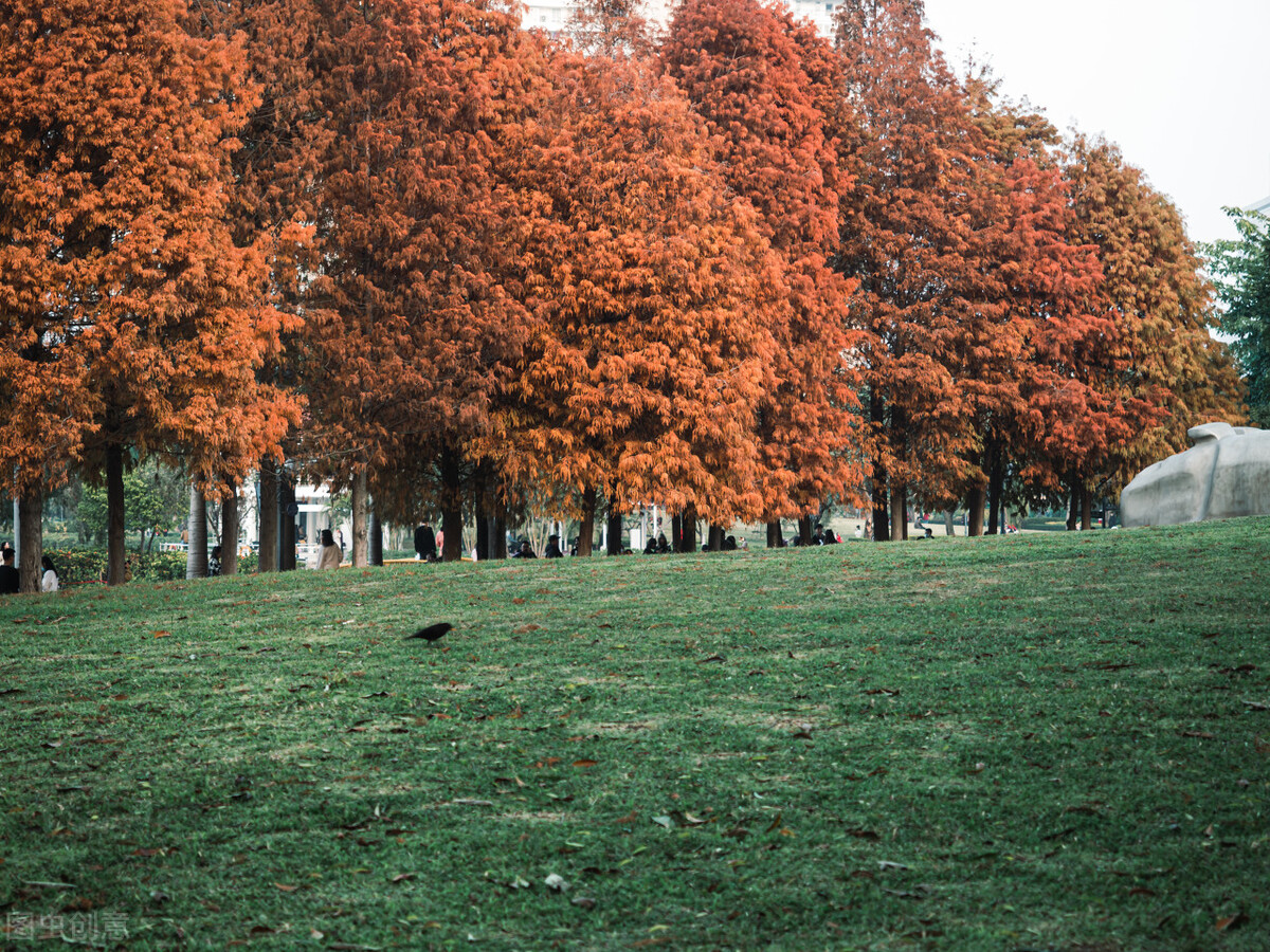 厦门旅游攻略必去的十个地方,厦门旅游攻略几个不错的地方必去