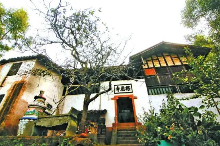 2022春节成都周边油菜花,2022年成都油菜花观赏地