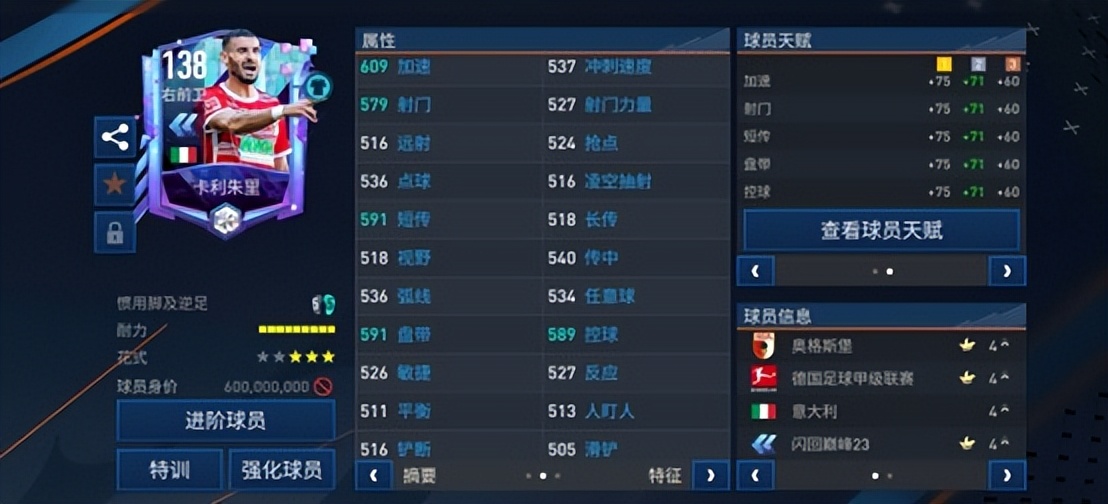 fifa足球世界最漂亮的一套卡阵容,fifa足球世界巅峰阵容