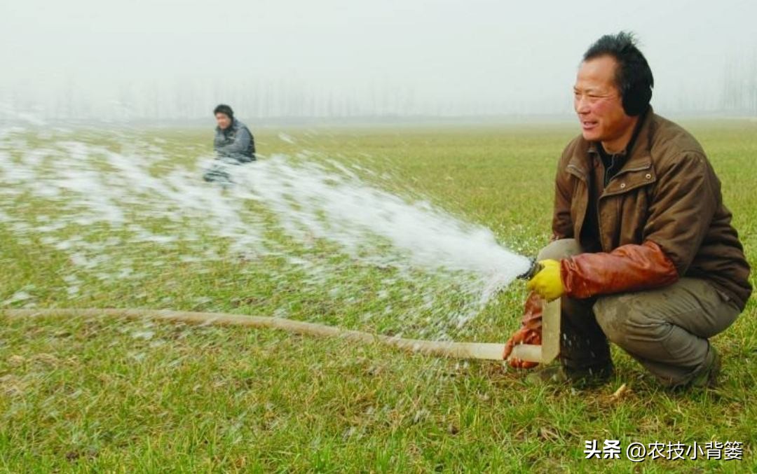 小麦冬季浇水口诀,小麦春灌能浇二次水吗