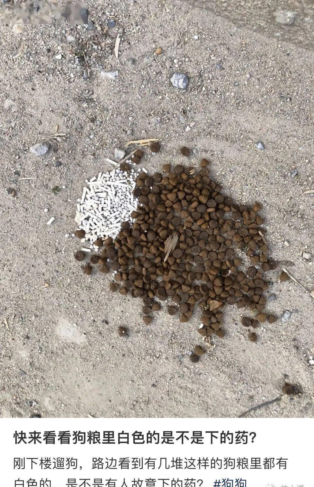 花了1000块钱拍艺术照,花了900元拍的照片