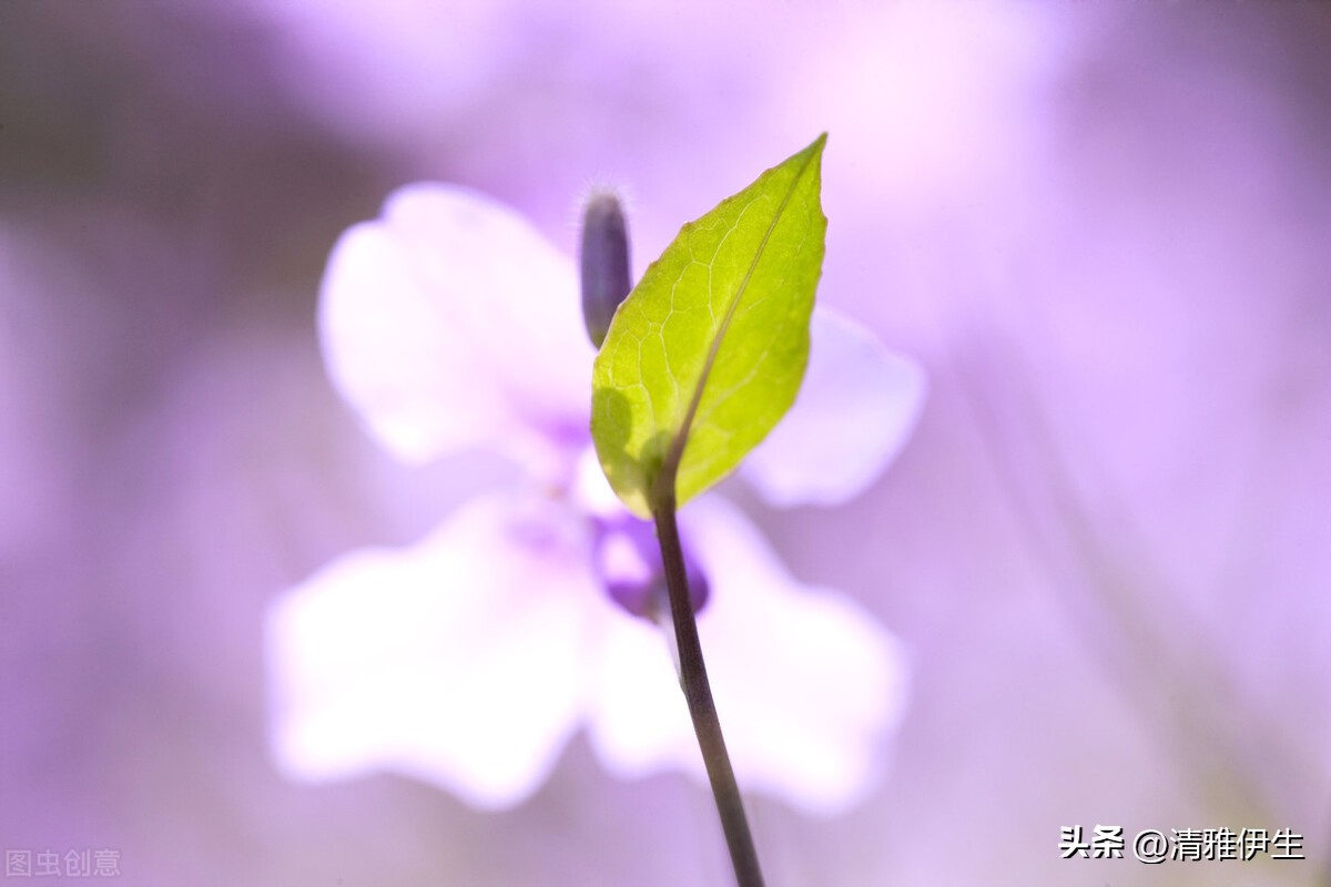 无数人的童年阴影游戏,童年的阴影死亡之屋游戏